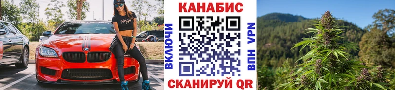 Где продают наркотики Каргополь Каннабис АМФЕТАМИН ГАШИШ Меф Cocaine