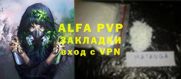 apvp Алзамай