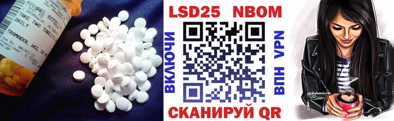 нарко площадка официальный сайт Каргополь Лсд 25 экстази ecstasy