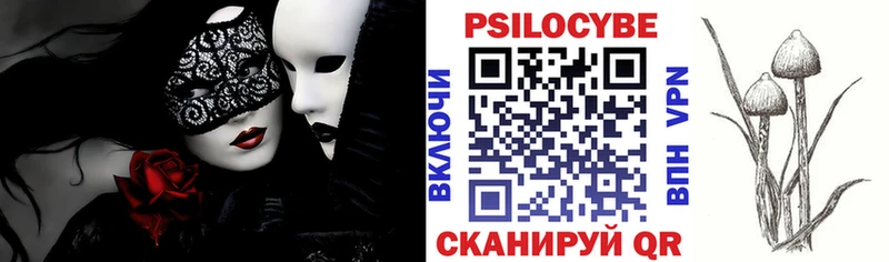 Галлюциногенные грибы Magic Shrooms  blacksprut зеркало  Каргополь  купить  цена 